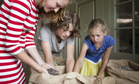 Voorraadkast van Huis Bartolotti