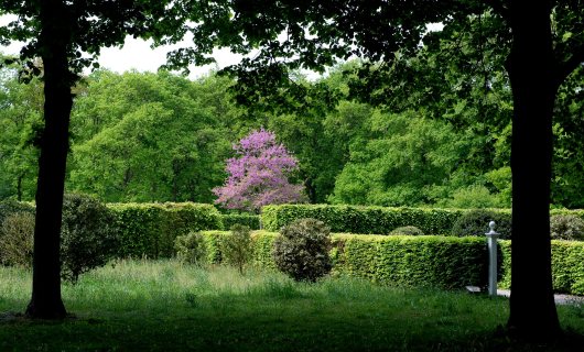 Buitenplaats Beeckestijn