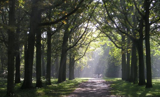 Buitenplaats Beeckestijn