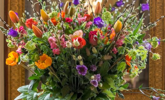 Huis Hodshon Haarlem