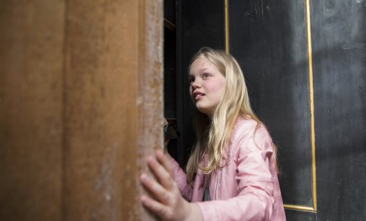 Huis Van Eysinga in Leeuwarden