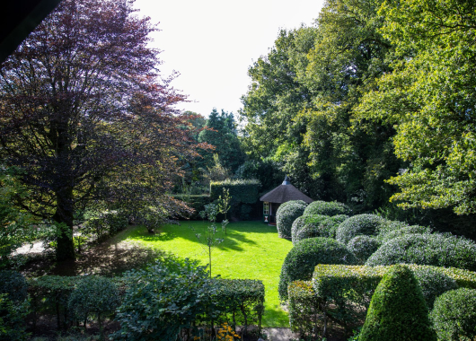 tuin