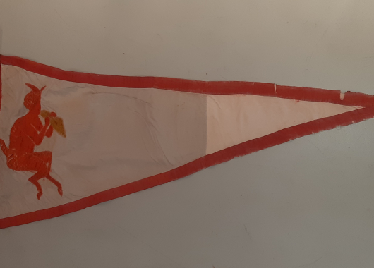 De Pan-vlag die werd gehesen wanneer de familie Parqui in De Roode Pan verbleef.