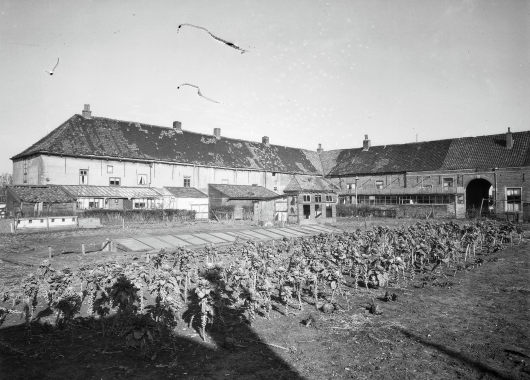 De binnenplaats van de Nederhof in 1959. De binnenplaats was volgebouwd met schuurtjes en andere aanbouwen en werd deels gebruikt als moestuin. Foto: G.Th. Delemarre.