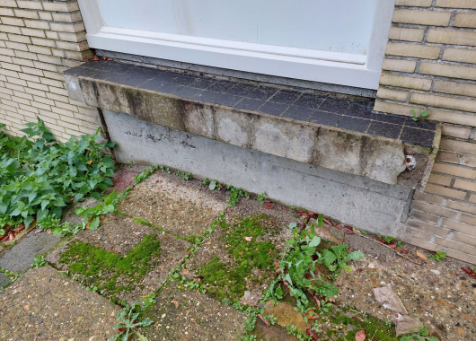 Bordes voor reconstructie