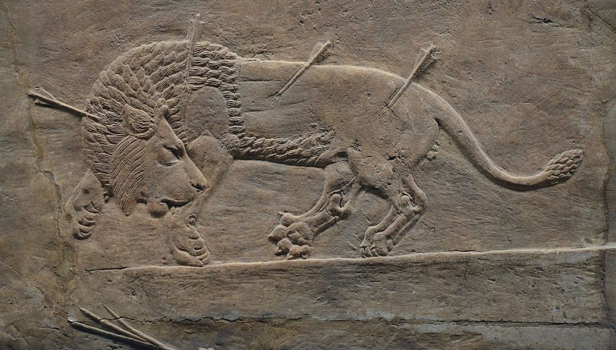 De door Zijl gekopieerde leeuw van 'De leeuwenjacht van Ashurbanipal" (foto British Museum)