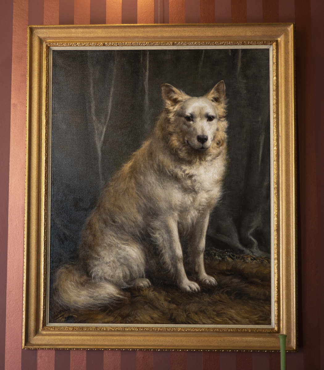 Nansen
