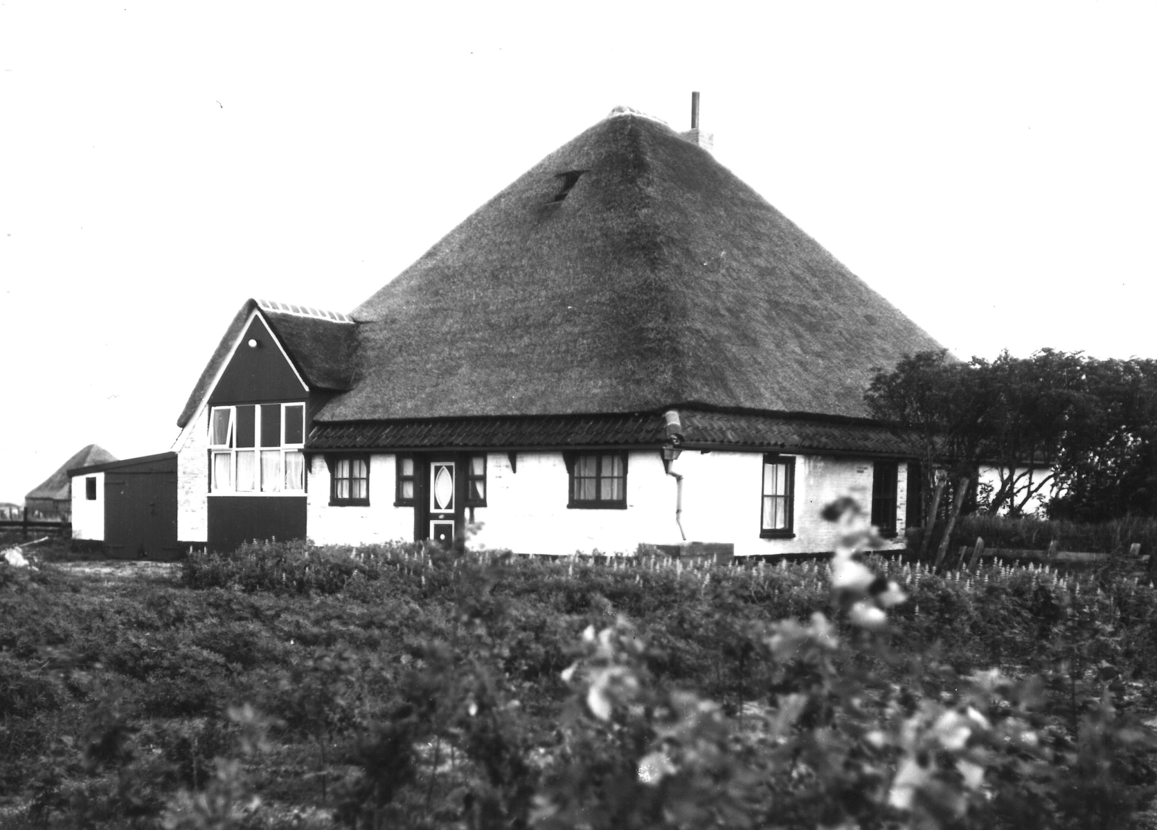 Texel