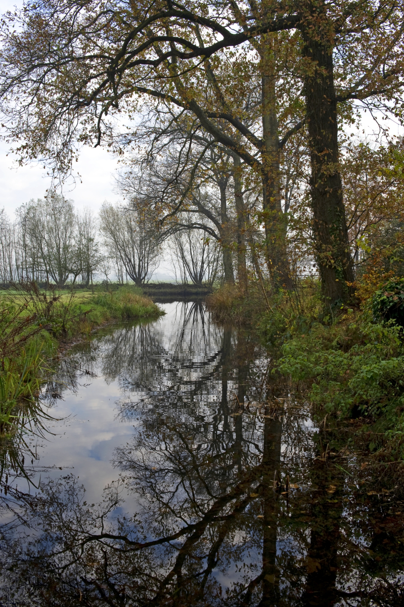 Nijenburg