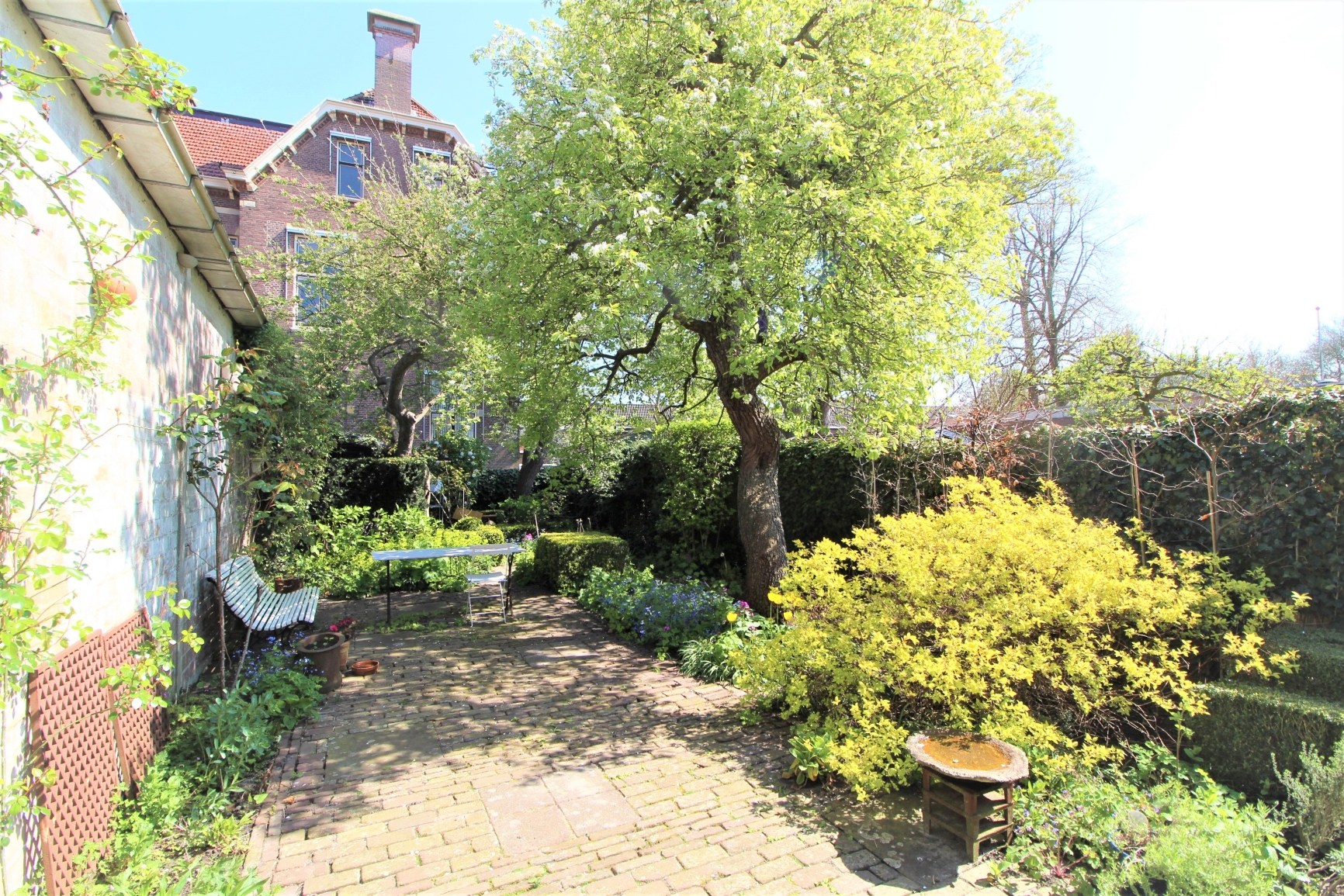Enkhuizen te huur