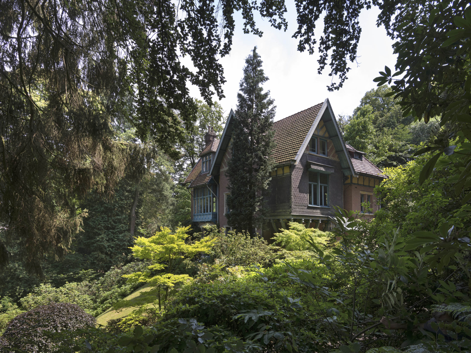 Dennenheuvel in Ubbergen