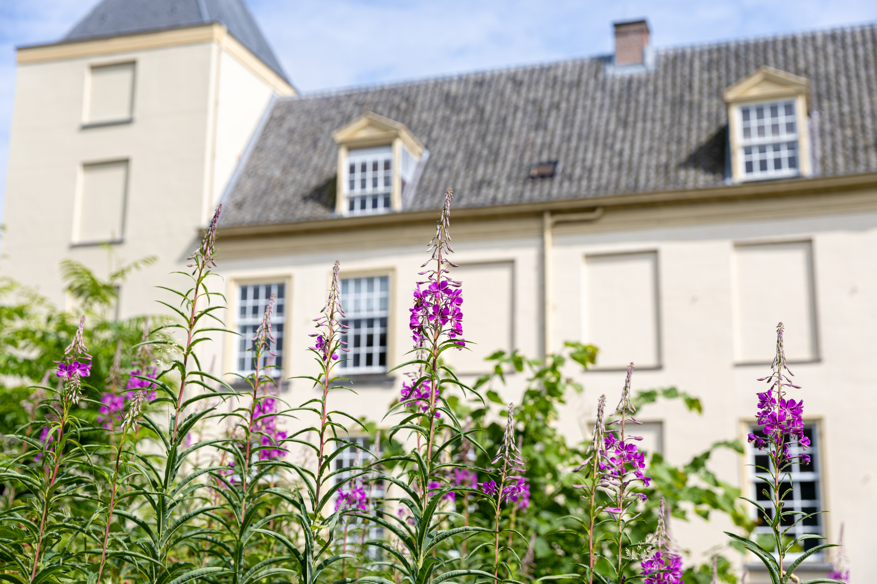 Huis te Warmond (foto Jan Buteijn)
