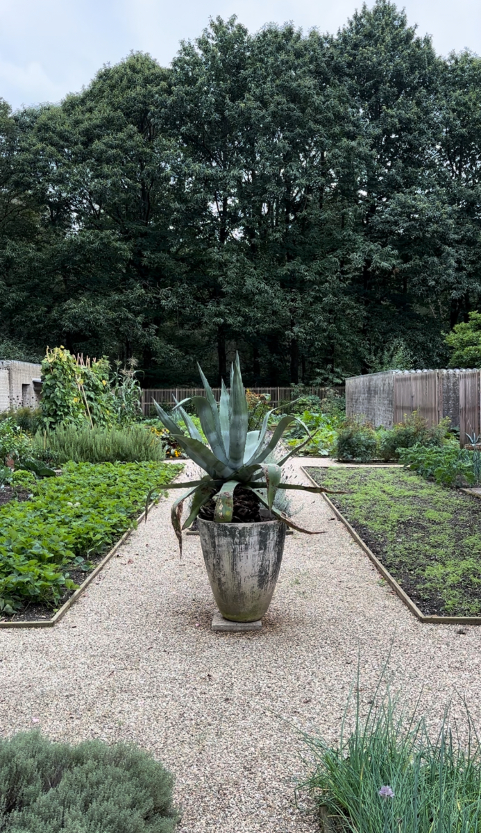 Jan de Jong Moestuin