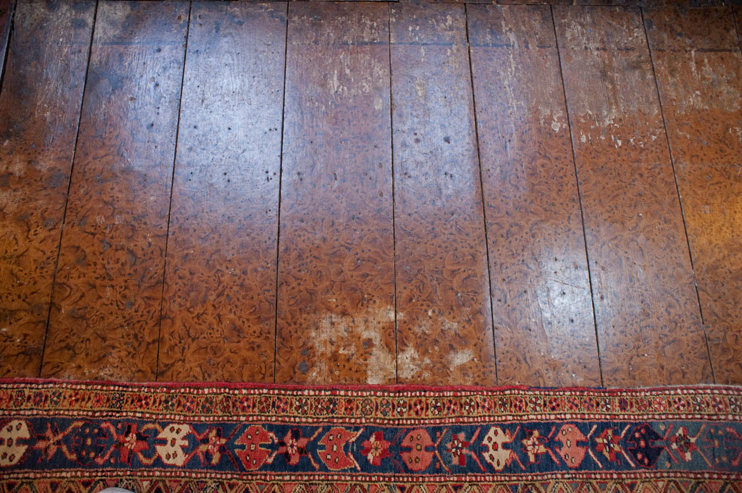 Delft - De Fundatie van Renswoude