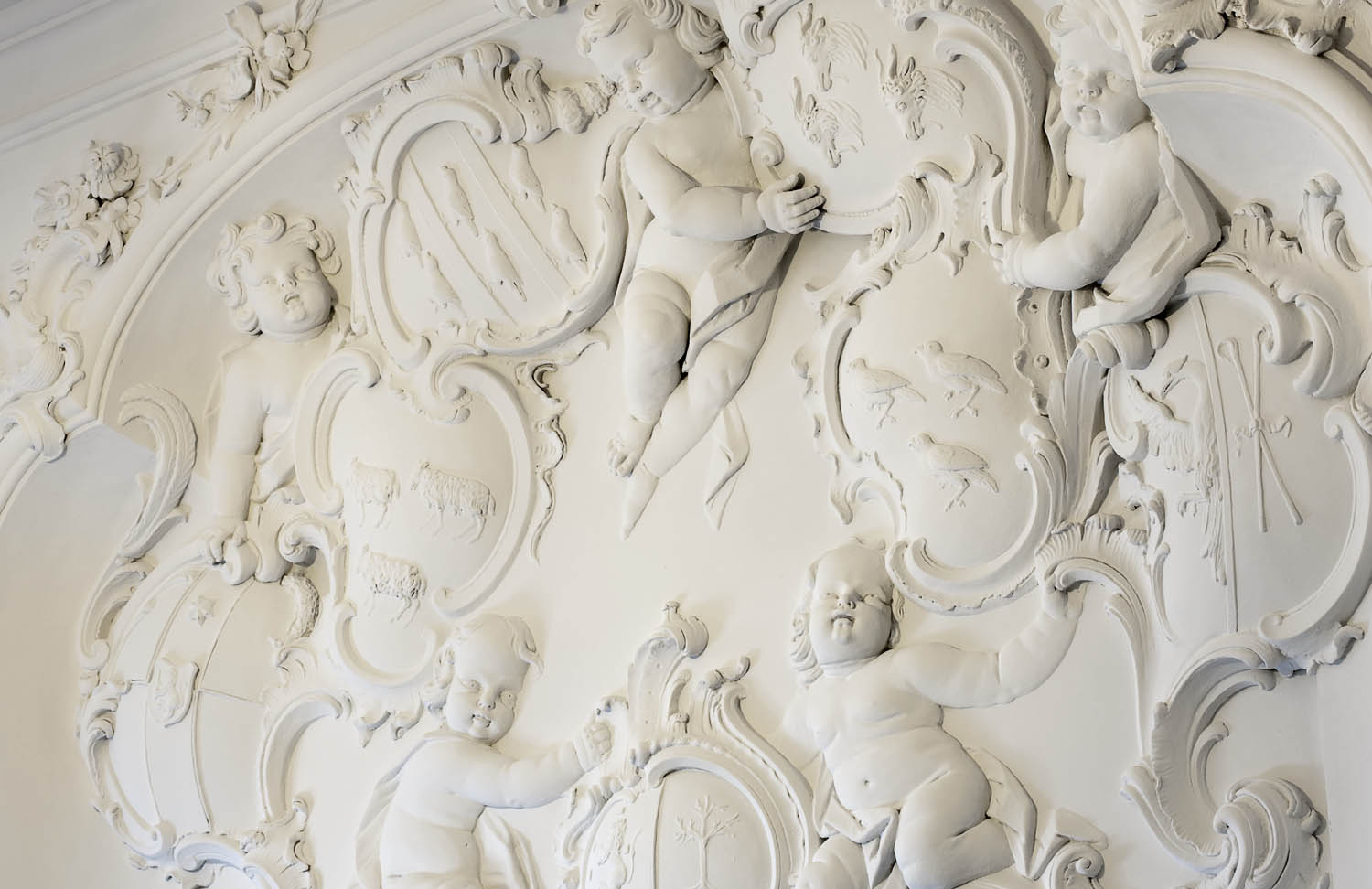 Delft - De Fundatie van Renswoude