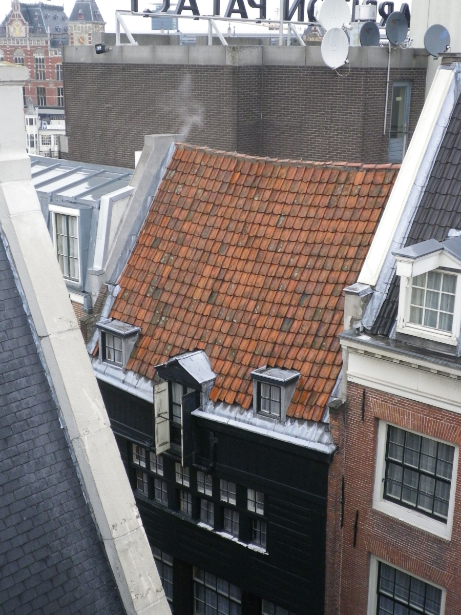Uitzicht vanuit Het Aepjen over de daken van de Zeedijk.