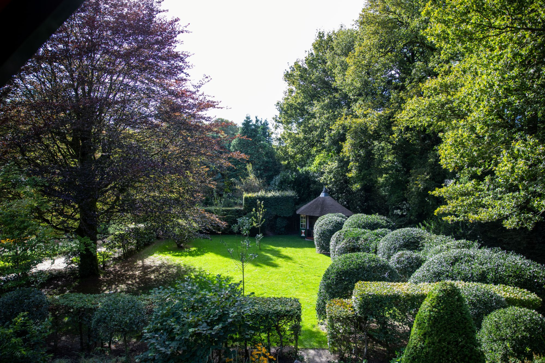 tuin
