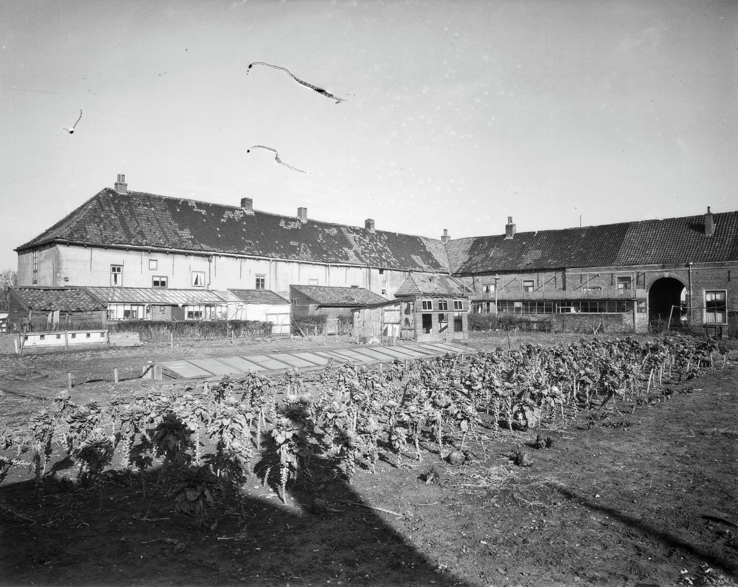 De binnenplaats van de Nederhof in 1959. De binnenplaats was volgebouwd met schuurtjes en andere aanbouwen en werd deels gebruikt als moestuin. Foto: G.Th. Delemarre.
