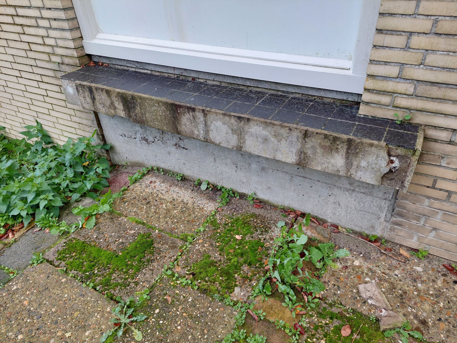 Bordes voor reconstructie
