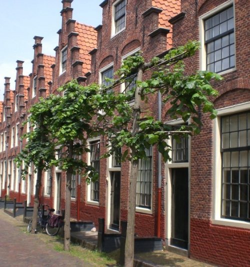 Haarlem Groot Heiligland 63 85 Haarlem Groot Heiligland 63 85