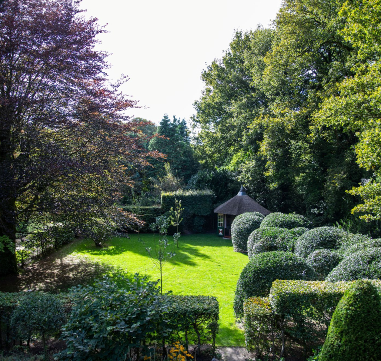 Tuin