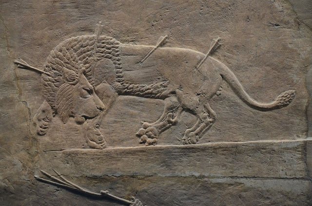 De door Zijl gekopieerde leeuw van 'De leeuwenjacht van Ashurbanipal" (foto British Museum)